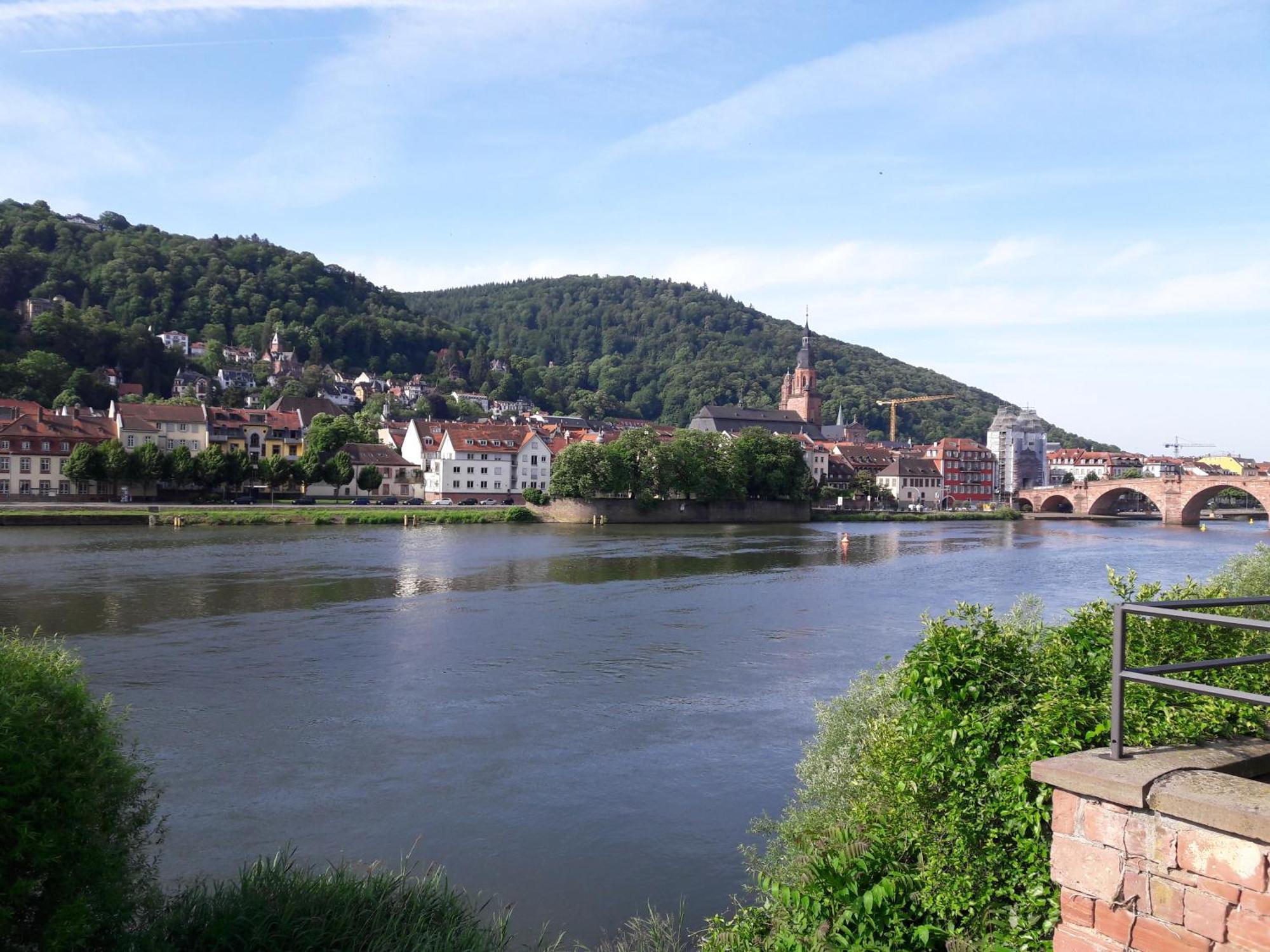 Ferienwohnung Neckarblick Heidelberg Exterior photo